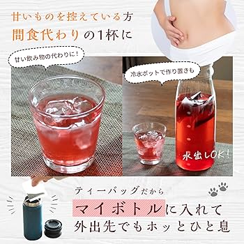 専用出品　アイビー化粧品　スレンディスタイル　カフェモカ味　21袋 新たな金木犀（キンモクセイ）との出会い／ニッチフレグランス
